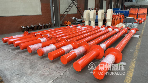 Customized Hydraulic Cylinder for Your Specific Requirements According To The Requirements manufacturer factory plant